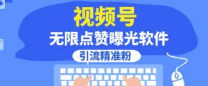 全网首发,视频号无限点赞曝光,引流精准粉【揭秘】-晟哥学社资源库
