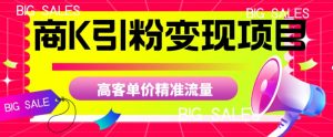 商K引粉变现项目，高客单价精准流量【揭秘】-晟哥学社资源库