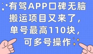 有驾APP口碑无脑搬运项目又来了，单号最高110块，可多号操作-晟哥学社资源库