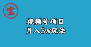 宝哥视频号无货源带货视频月入3w,详细复盘拆解-晟哥学社资源库
