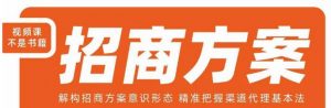 王昕招商方案,解构招商方案意识形态,精准把握渠道代理基本法-晟哥学社资源库