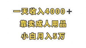 一天收入4000+,靠卖成人用品,小白轻松月入5万【揭秘】-晟哥学社资源库