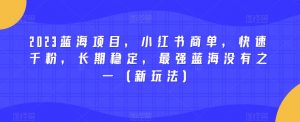 2023蓝海项目,小红书商单,快速千粉,长期稳定,最强蓝海没有之一(新玩法)-晟哥学社资源库