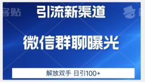 价值2980的全新微信引流技术，只有你想不到，没有做不到【揭秘】-晟哥学社资源库