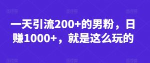一天引流200+的男粉,日赚1000+,就是这么玩的【揭秘】-晟哥学社资源库