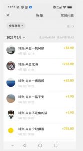 卖古籍电子书,作品只需要简单的图片去重,高客单价高利润,月入五位轻轻松松-晟哥学社资源库