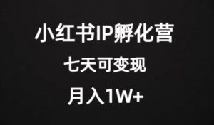 价值2000+的小红书IP孵化营项目,超级大蓝海,七天即可开始变现,稳定月入1W+-晟哥学社资源库