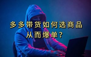 多多视频带货选什么商品链接才能爆单，10分钟教会你，爆单不是浮云【揭秘】-晟哥学社资源库