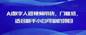 AI数字人短视频带货，门槛低，适合新手小白可做的项目-晟哥学社资源库