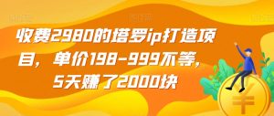 收费2980的塔罗ip打造项目，单价198-999不等，5天赚了2000块【揭秘】-晟哥学社资源库