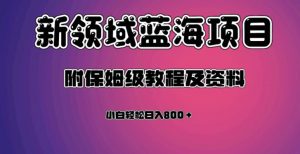虚拟资源蓝海领域新项目，轻松日入800＋，附保姆级教程及资料-晟哥学社资源库