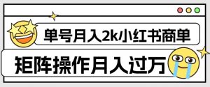 外面收费1980的小红书商单保姆级教程,单号月入2k,矩阵操作轻松月入过万-晟哥学社资源库