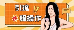 最新引流骚操作，单账号日引50-100，简单粗暴，适合于小白各行各业都可以进行操作，精准粉丝加到爆-晟哥学社资源库