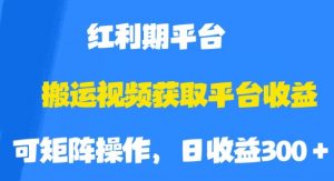搬运视频获取平台收益，平台红利期，附保姆级教程【揭秘】-晟哥学社资源库