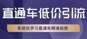 直通车低价引流课,系统化学习直通车精准投放-晟哥学社资源库