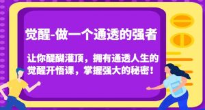 觉醒-做一个通透的强者,让你醍醐灌顶,拥有通透人生的觉醒开悟课,掌握强大的秘密!-晟哥学社资源库