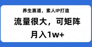 养生赛道，素人IP打造，流量很大，可矩阵，月入1w+【揭秘】-晟哥学社资源库