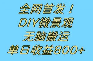 全网首发冷门赛道!DIY微景观,无脑搬运视频,日收益800+【揭秘】-晟哥学社资源库
