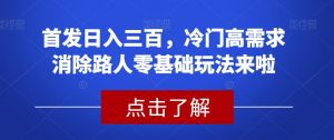 首发日入三百，冷门高需求消除路人零基础玩法来啦【揭秘】-晟哥学社资源库