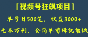 日收款500笔，纯利润3000+，视频号狂飙项目，会简单剪辑就能做【揭秘】-晟哥学社资源库