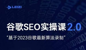 雷子·谷歌SEO 2.0实战课,独立站询盘自由必备,基于2023谷歌最新算法录制-晟哥学社资源库