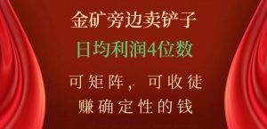 金矿旁边卖铲子，赚确定性的钱，可矩阵，可收徒，日均利润4位数【揭秘】-晟哥学社资源库