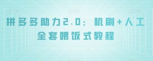 拼多多助力2.0：机刷+人工全套喂饭式教程【揭秘】-晟哥学社资源库