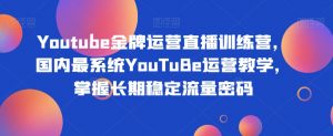 Youtube金牌运营直播训练营，国内最系统YouTuBe运营教学，掌握长期稳定流量密码-晟哥学社资源库