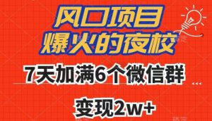 全网首发，爆火的夜校，7天加满6个微信群，变现2w+【揭秘】-晟哥学社资源库