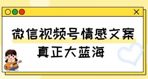 视频号情感文案，真正大蓝海，简单操作，新手小白轻松上手（教程+素材）【揭秘】-晟哥学社资源库