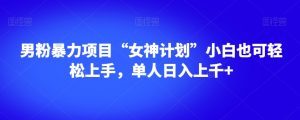 男粉暴力项目“女神计划”小白也可轻松上手，单人日入上千+【揭秘】-晟哥学社资源库