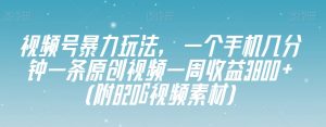 视频号暴力玩法，一个手机几分钟一条原创视频一周收益3800+（附820G视频素材）-晟哥学社资源库
