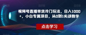 视频号直播带货冷门玩法,日入1000+,小白专属项目,从0到1实战教学【揭秘】-晟哥学社资源库