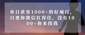 单日获客1000+的好项目，只要你微信扛得住，没有1000+你来找我【揭秘】-晟哥学社资源库