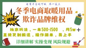 利用电商平台冬季销售取暖用品欺诈行为合理制裁店铺，单日入900+【仅揭秘】-晟哥学社资源库