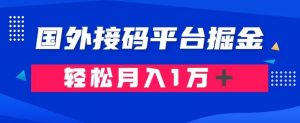 通过国外接码平台掘金：成本1.3，利润10＋，轻松月入1万＋【揭秘】-晟哥学社资源库