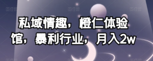 私域情趣,橙仁体验馆,暴利行业,月入2w【揭秘】-晟哥学社资源库