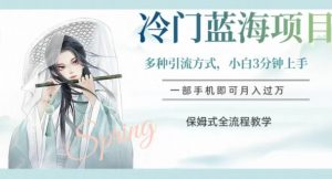 冷门蓝海项目，操作简单，小白3分钟上手，多种引流方式，保姆式全流程教学【揭秘】-晟哥学社资源库