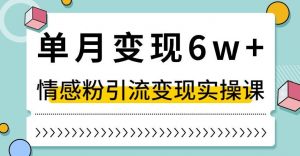 单月变现6W+，抖音情感粉引流变现实操课，小白可做，轻松上手，独家赛道【揭秘】-晟哥学社资源库