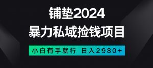 暴力私域捡钱项目,小白无脑操作,日入2980【揭秘】-晟哥学社资源库
