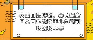 卖莆田篮球鞋，暴利掘金日入四位数新手小白都可以轻松上手【揭秘】-晟哥学社资源库