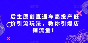 后生原创直通车高投产低价引流玩法，教你引爆店铺流量！-晟哥学社资源库