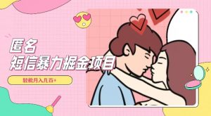 全网首发，揭秘超冷门匿名短信项目，通过信息差日入几百+【揭秘】-晟哥学社资源库