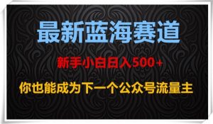 最新蓝海赛道,新手小白日入500+,你也能成为下一个公众号流量主【揭秘】-晟哥学社资源库