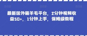 最新国外薅羊毛平台，2分钟视频收益50+，1分钟上手，保姆级教程【揭秘】-晟哥学社资源库