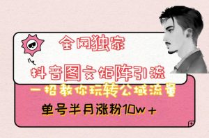 全网独家抖音图文矩阵引流，一招教你玩转公域流量，单号半月涨粉10w+【揭秘】-晟哥学社资源库