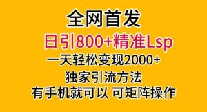 全网首发!日引800+精准老色批,一天变现2000+,独家引流方法,可矩阵操作【揭秘】-晟哥学社资源库