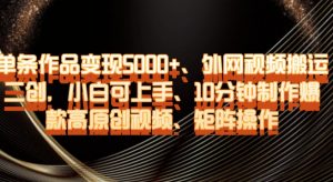 单条作品变现5000+、外网视频搬运二创，小白可上手，10分钟制作爆款高原创视频，矩阵操作【揭秘】-晟哥学社资源库