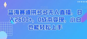 蓝海赛道拼多多无人直播,日入2600+,0成本变现,小白也能轻松上手【揭秘】-晟哥学社资源库