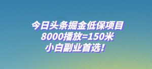 今日头条掘金低保项目,8000播放=150米,小白副业首选【揭秘】-晟哥学社资源库